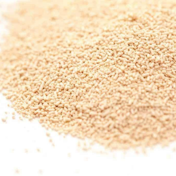 Galactomyces Ferment Filtrate