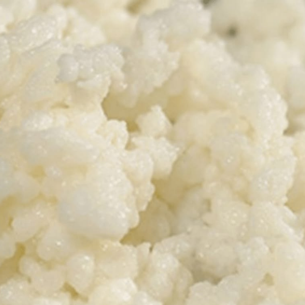 Lactobacillus Ferment Lysate