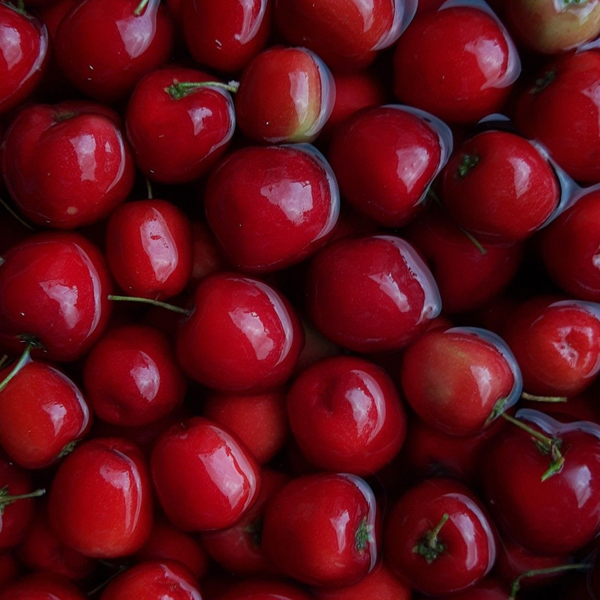 Malpighia Glabra (Acerola) Fruit Extract