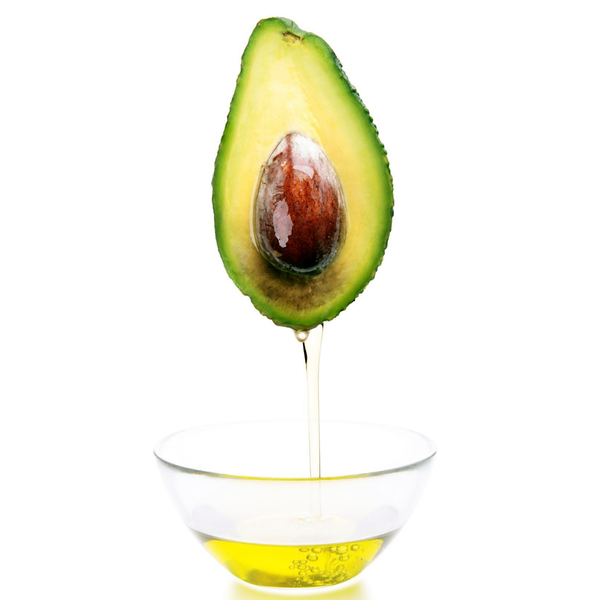Persea Gratissima (Avocado) Oil
