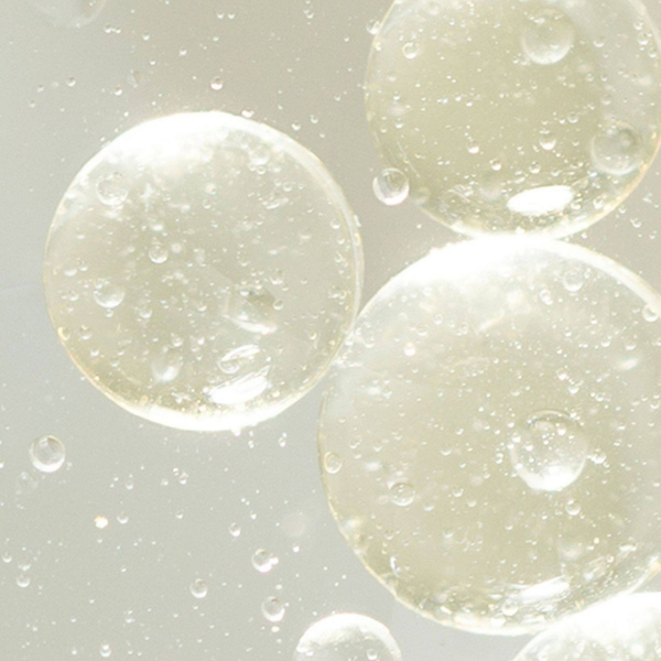 Ubiquinone (Coenzyme Q10)
